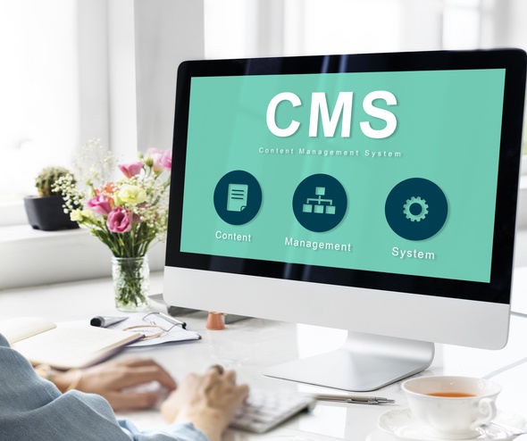 Create Custom CMS Platforms in 2023